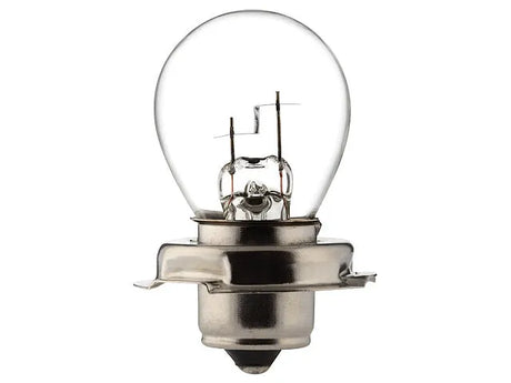 Bosma lemputė P26s, 6V, 15W