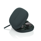 Bowers & Wilkins Px8, Over-ear triukšmą slopinančios ausinės