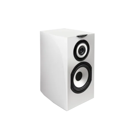 Cabasse MINORCA MC40, lentyninė garso kolonėlė (įvairių spalvų)