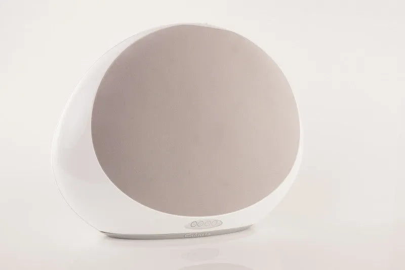 Cabasse Stream 1, Belaidė Bluetooth garso kolonėlė