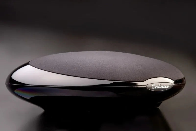 Cabasse Stream 1, Belaidė Bluetooth garso kolonėlė