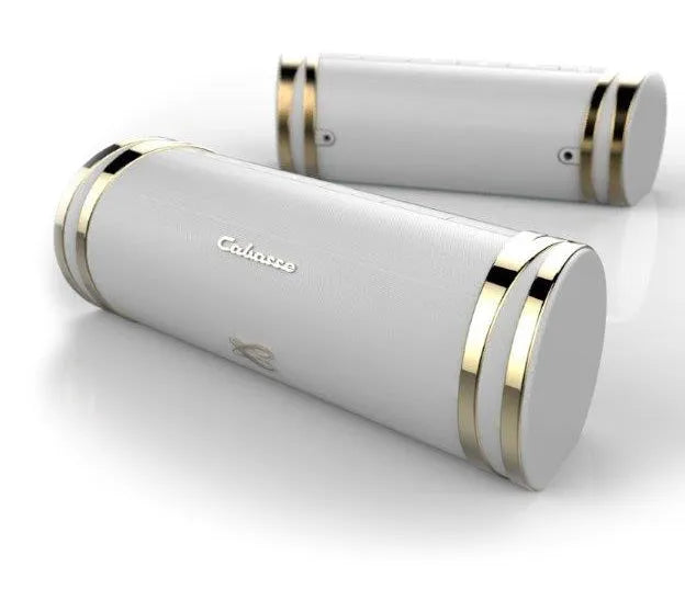 Cabasse Swell, belaidė Bluetooth garso kolonėlė