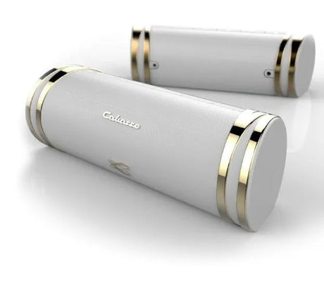 Cabasse Swell, belaidė Bluetooth garso kolonėlė