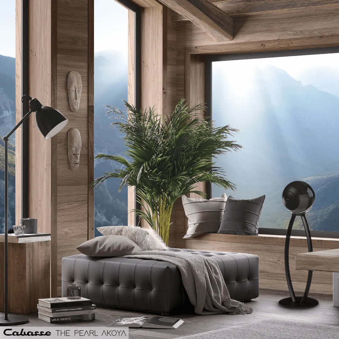 Cabasse The Pearl Akoya, belaidė garso kolonėlė su įmontuotu tinklo grotuvu