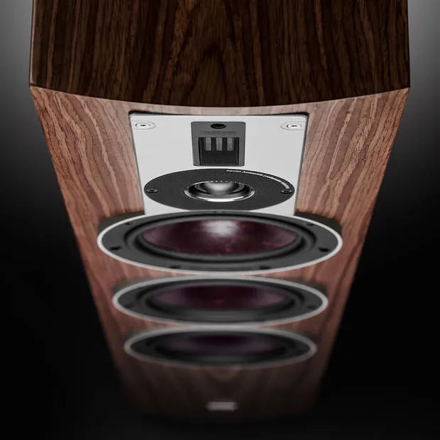 DALI RUBICON 5, grindinės garso kolonėlės (įvairių spalvų)