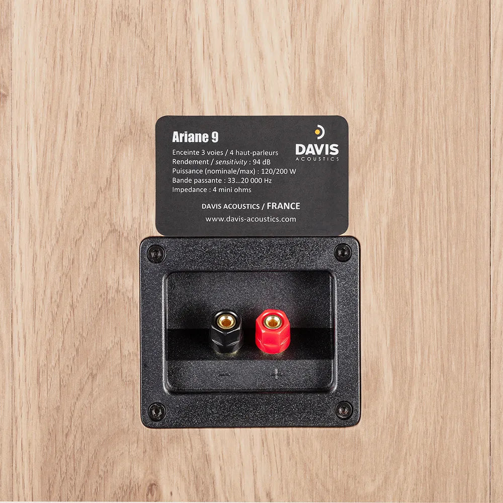 Davis Acoustics ARIANE 9, grindinės garso kolonėlės