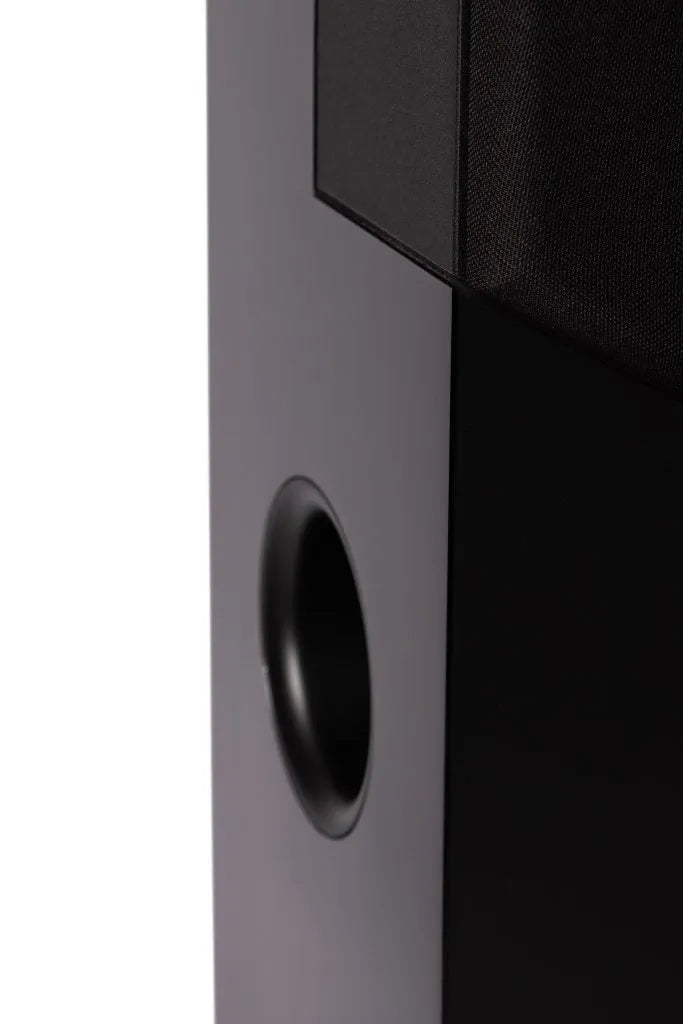 Davis Acoustics The Stage, grindinės garso kolonėlės