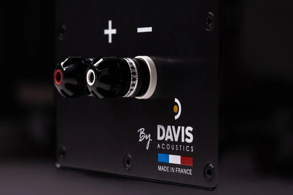 Davis Acoustics The Stage, grindinės garso kolonėlės