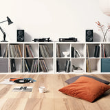 Dynaudio Emit 10, lentyninės garso kolonėlės - šoninis vaizdas su vinilo plokštelėmis