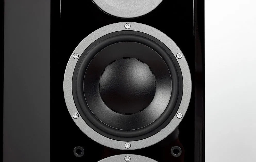 Dynaudio Focus 260, grindinės garso kolonėlės (įvairių spalvų)