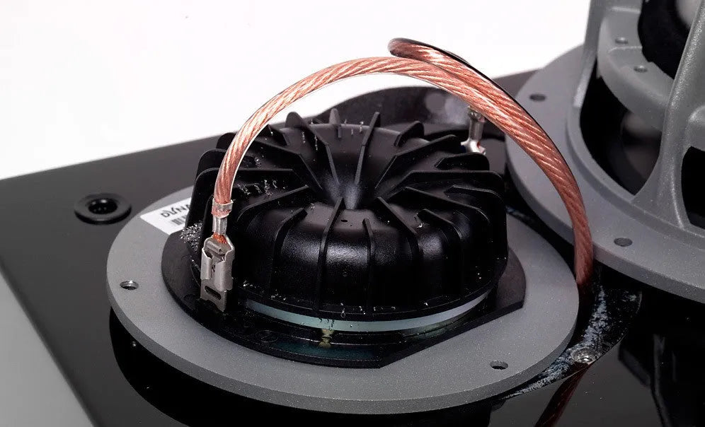 Dynaudio Focus 260, grindinės garso kolonėlės (įvairių spalvų)