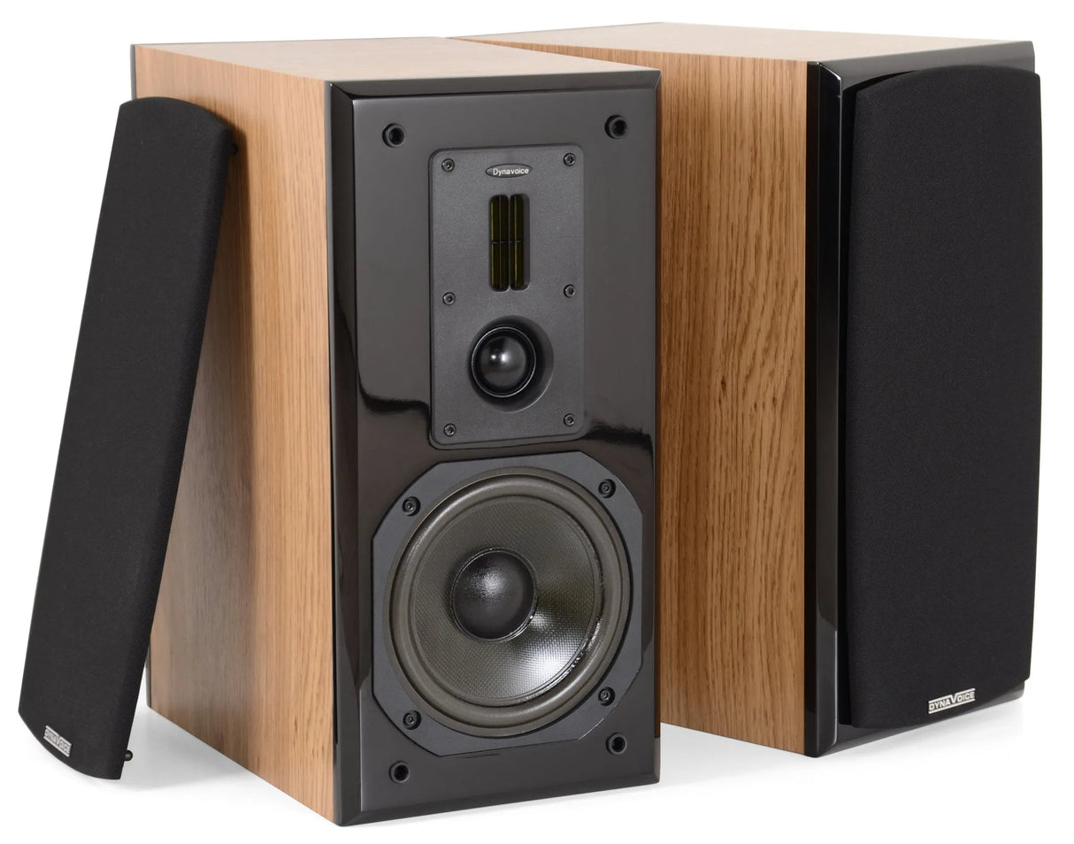 Dynavoice Definition DM-6, Lentyninės garso kolonėlės 120W