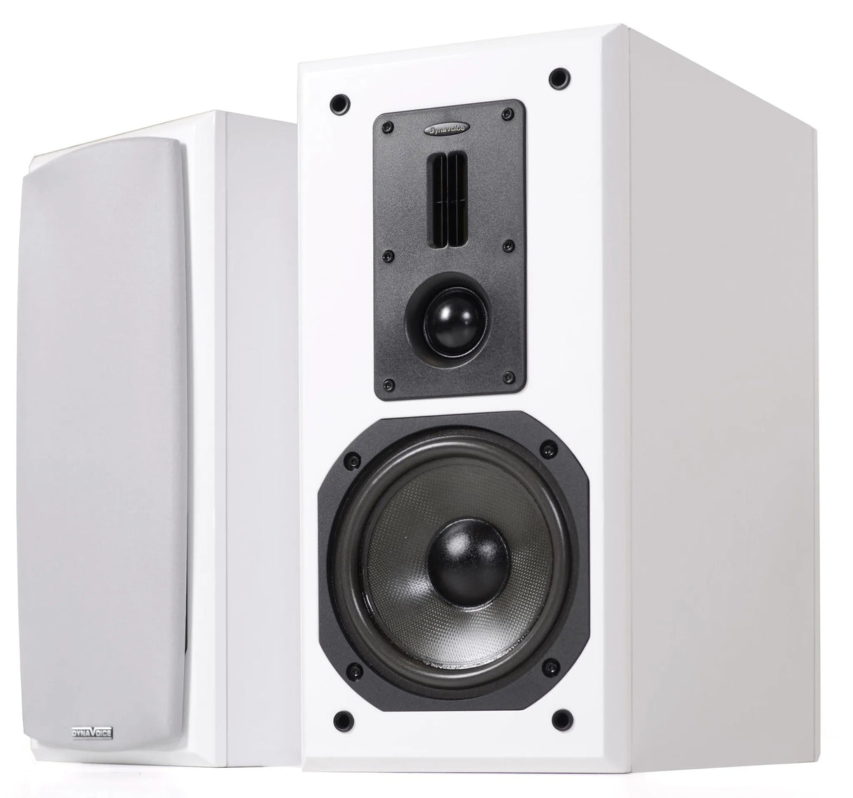 Dynavoice Definition DM-6, Lentyninės garso kolonėlės 120W