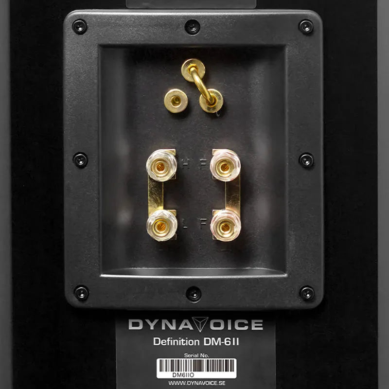 Dynavoice Definition DM-6II, lentyninės garso kolonėlės (2025 metų modelis)
