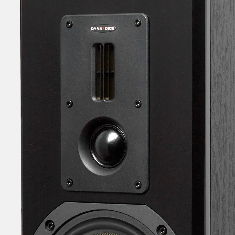 Dynavoice Definition DM-6II, lentyninės garso kolonėlės (2025 metų modelis)