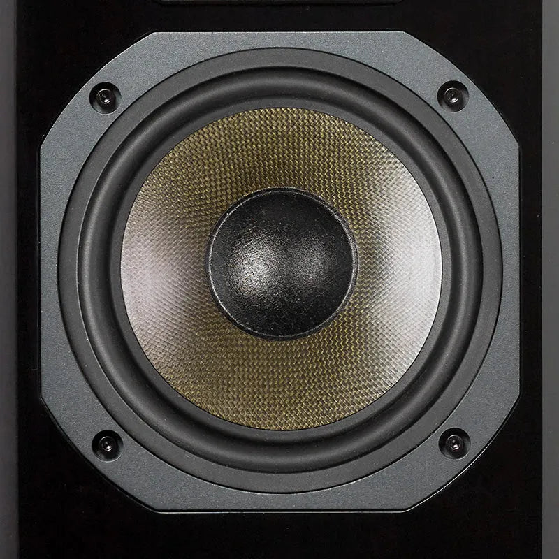 Dynavoice Definition DM-6II, lentyninės garso kolonėlės (2025 metų modelis)