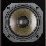 Dynavoice Definition DM-6II, lentyninės garso kolonėlės (2025 metų modelis)