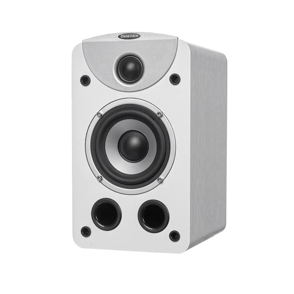 Dynavoice Magic S-4 EX (v.3), Lentyninės garso kolonėlės 100W