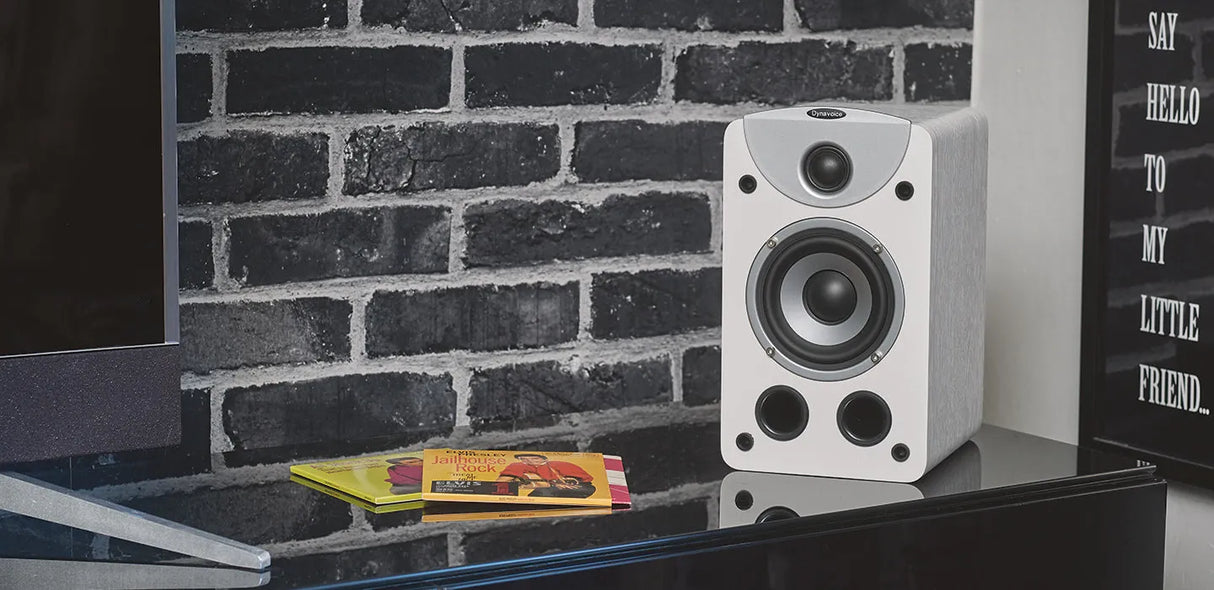 Dynavoice Magic S-4 EX (v.3), Lentyninės garso kolonėlės 100W