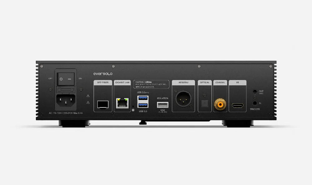 EverSolo T8, Hi-Fi tinklo grotuvas - galinė panelė su daugybe jungčių