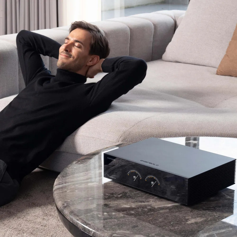 EverSolo T8, Hi-Fi tinklo grotuvas - priekinė panelė su dviem indikatoriais