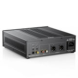 FiiO WARMER R2R, skaitmeninis - analoginis keitiklis