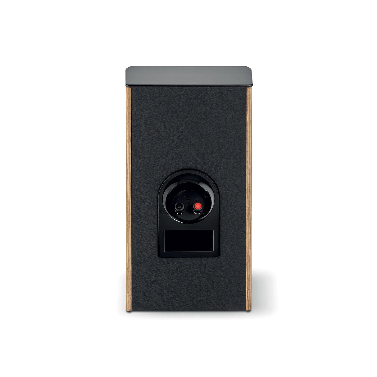 Focal ARIA EVO X N°1, lentyninė garso kolonėlė (įvairių spalvų)