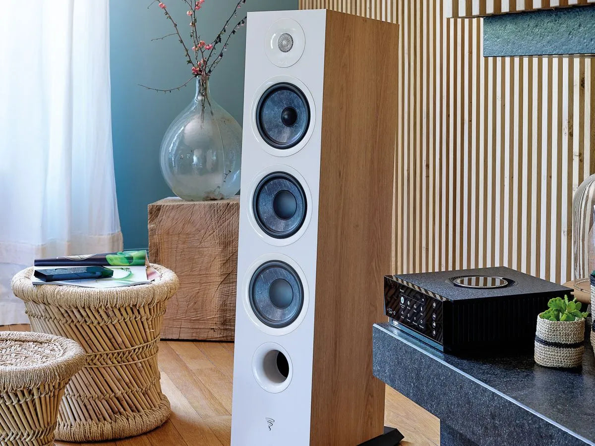 Focal Chora 826, grindinė garso kolonėlė (įvairių spalvų)