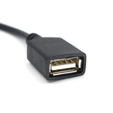 Honda-USB USB perėjimo laidas 30cm - USB jungties detalus vaizdas iš arti