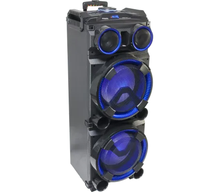 IBIZA Light & Sound STANDUP-DJ-MKII, 2-jų juostų garso kolonėlė su aku