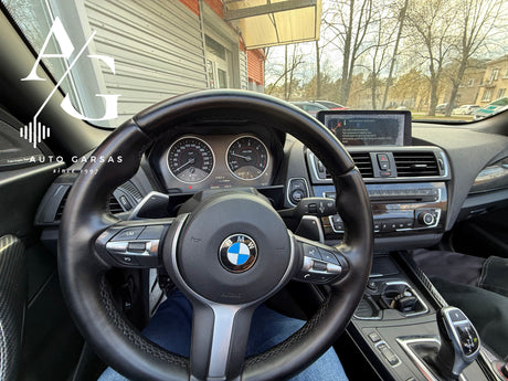 BMW 2 kabrioletas, garso aparatūra