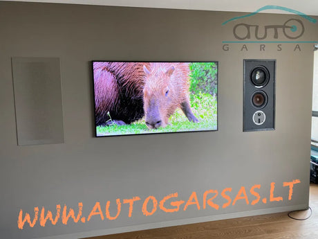 Įvairios namų garso sistemos