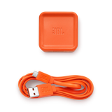 JBL Tuner, nešiojama Bluetooth kolonėlė su DAB/FM radiju