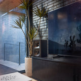Klipsch The Fives II, aktyvios lentyninės kolonėlės su Dolby Atmos - Kolonėlė šalia augalo ir televizoriaus
