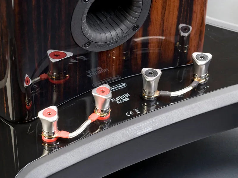 Monitor Audio Platinum PL500 II, grindinės garso kolonėlės - Galinė panelė su jungtimis ir laidais