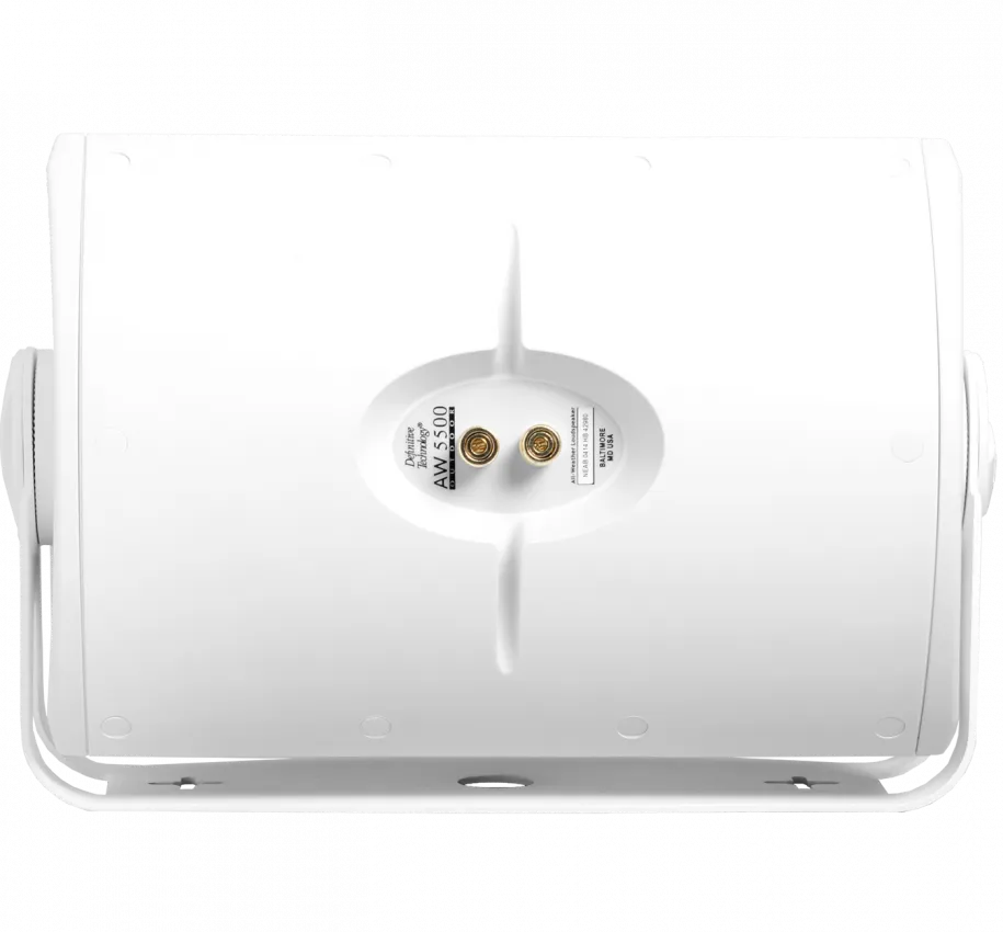 Montuojamos garso kolonėlės laukui DEFINITIVE TECHNOLOGY AW5500, 175W