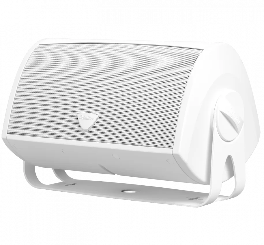 Montuojamos garso kolonėlės laukui DEFINITIVE TECHNOLOGY AW5500, 175W