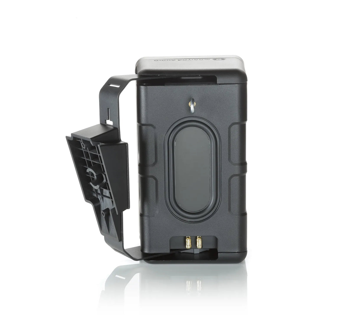 Montuojamos garso kolonėlės laukui Monitor Audio Climate 60, 100W, 2-jų juostų