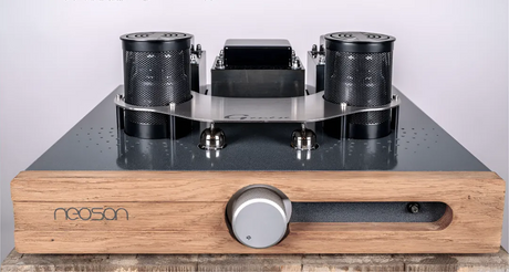 NEOSON Genèse, integruotas stiprintuvas