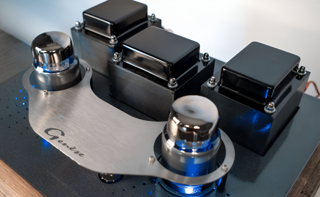 NEOSON Genèse, integruotas stiprintuvas