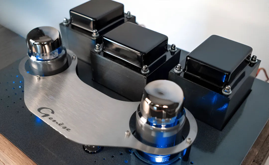 NEOSON Genèse, integruotas stiprintuvas