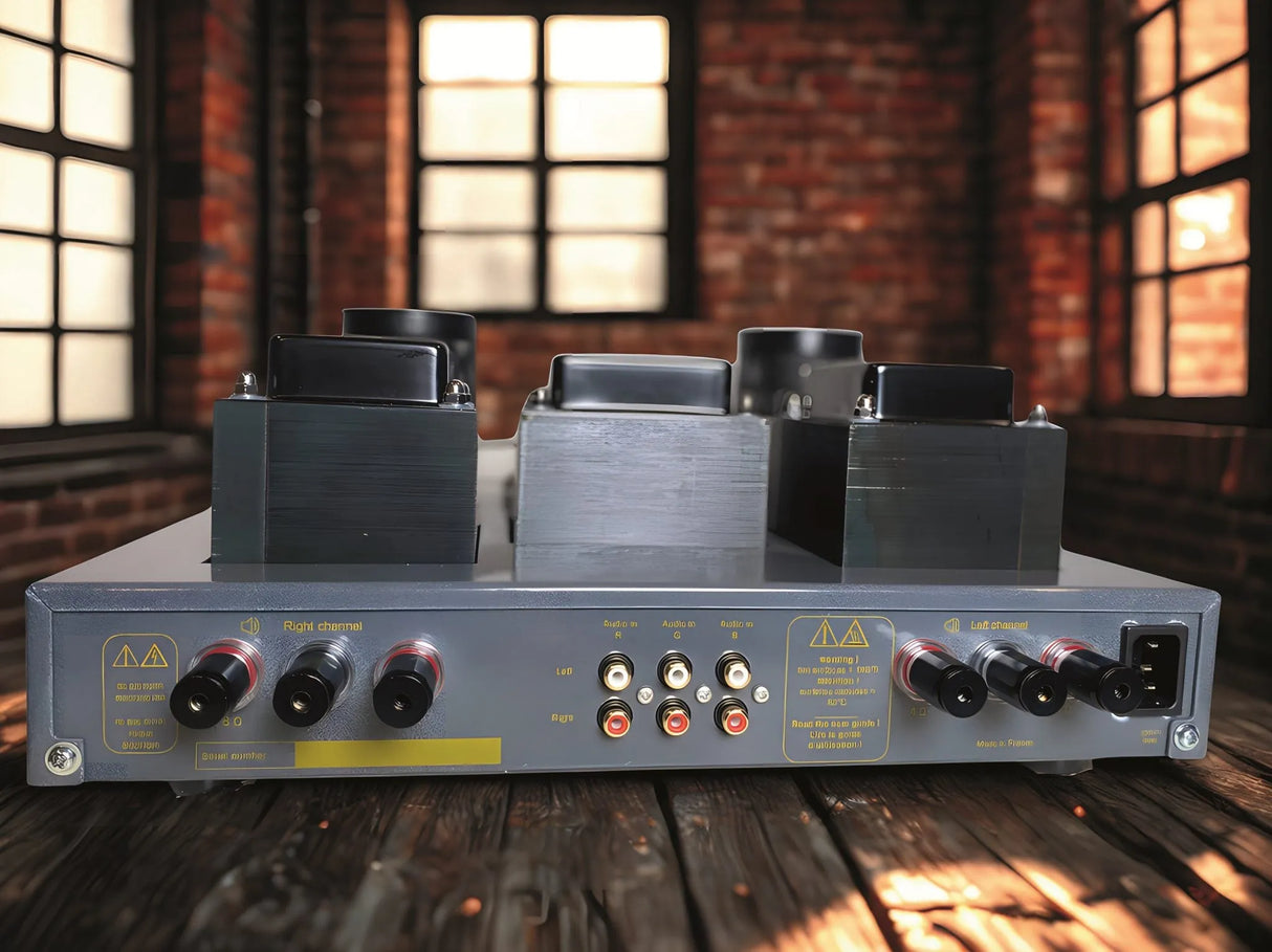 NEOSON Genèse, integruotas stiprintuvas