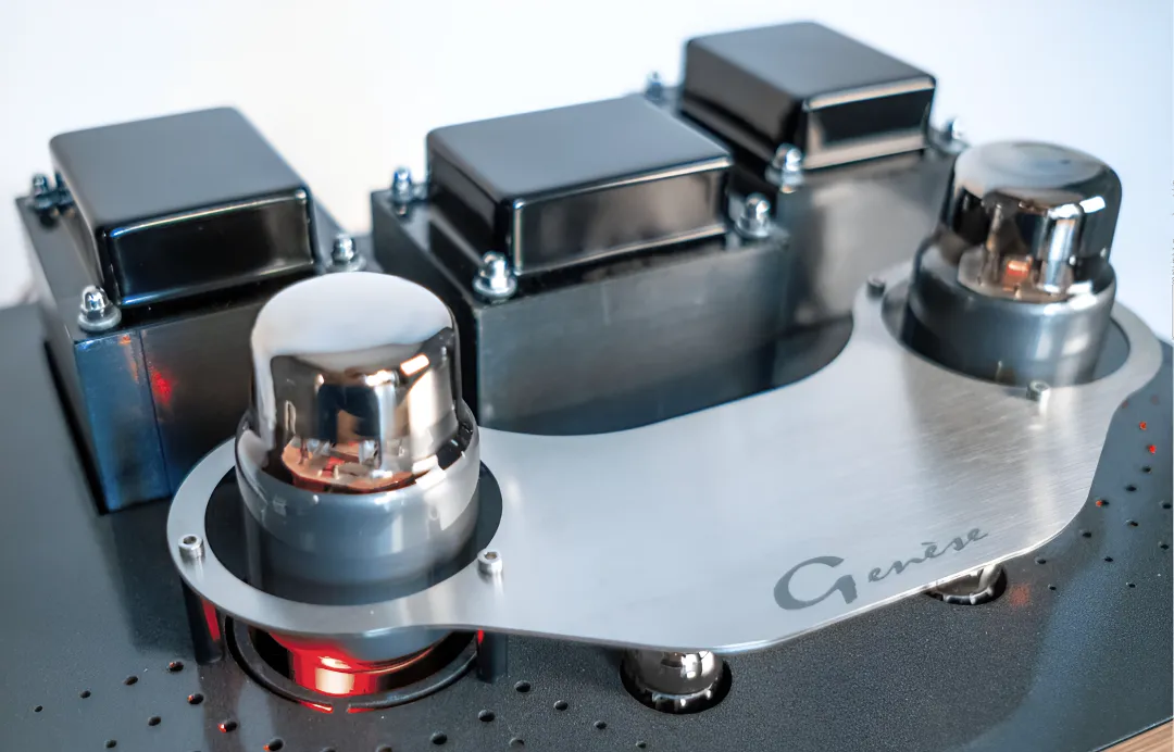 NEOSON Genèse, integruotas stiprintuvas