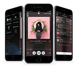 Nešiojama belaidė garso kolonėlė Audio Pro ADDON C10, Multiroom, Wi-Fi, Bluetooth