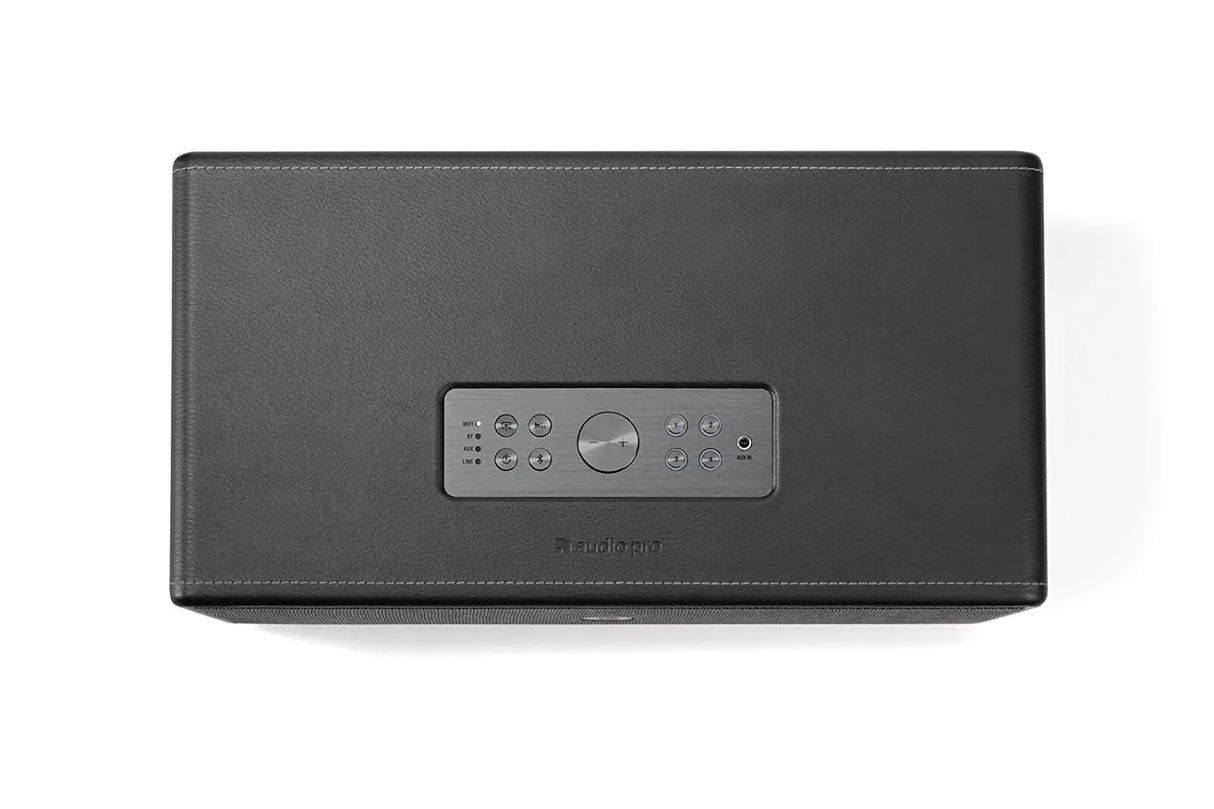 Nešiojama belaidė garso kolonėlė Audio Pro D-1, Multiroom, Wi-Fi, Bluetooth
