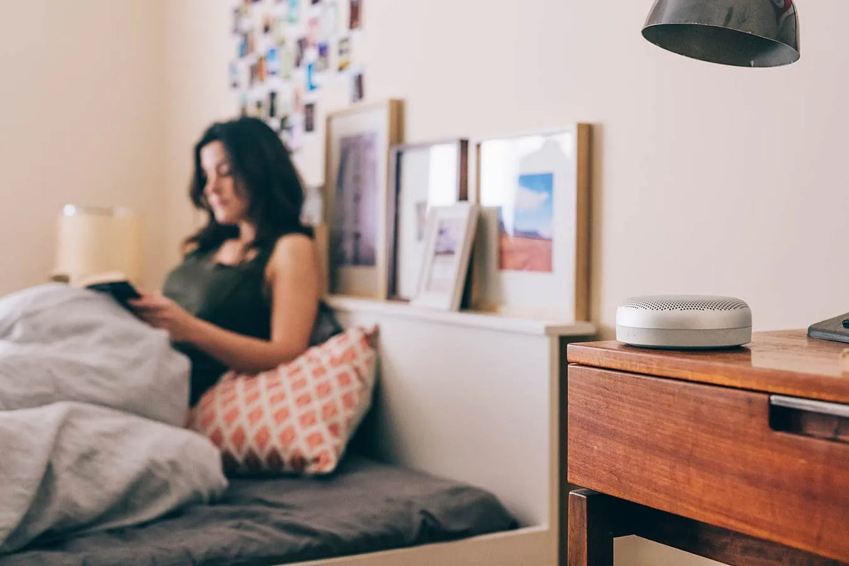 Nešiojama garso kolonėlė B&O BeoPlay A1 su Bluetooth atspari vandeniui