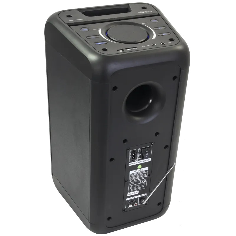 Nešiojama garso sistema Ibiza FREESOUND300, USB, SD, AUX, BLUETOOTH, 300W