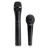 Nešiojama garso sistema Ibiza-Sound PORT10VHF-BT, USB, SD, Bluetooth, 500W