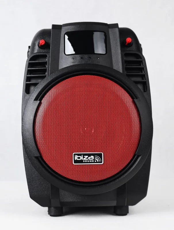 Nešiojama garso sistema Ibiza-Sound POWER6-PORT, USB, AUX, Bluetooth, 50W