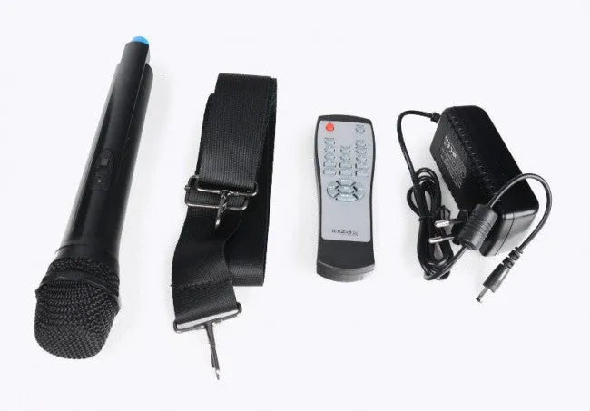 Nešiojama garso sistema Ibiza-Sound POWER6-PORT, USB, AUX, Bluetooth, 50W